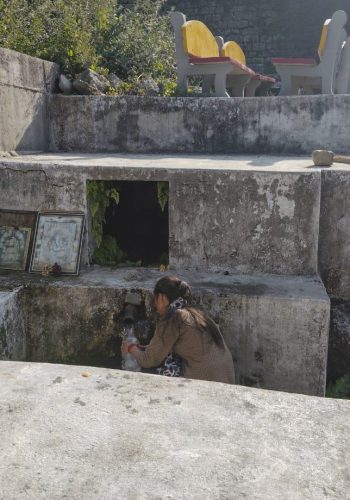 A village stepwell in Palampur symbolising memory, belonging, and the Gorkhali community’s roots in Himachal.